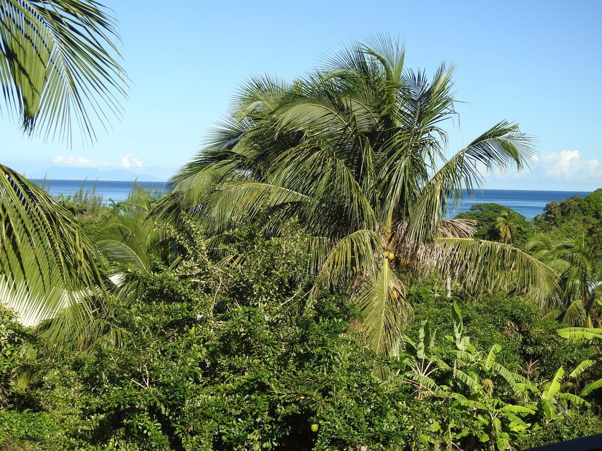 Coeur Caraibes Hotel Deshaies Exterior foto